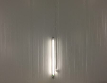 Three fluorescent lamps mounted vertically on the wall