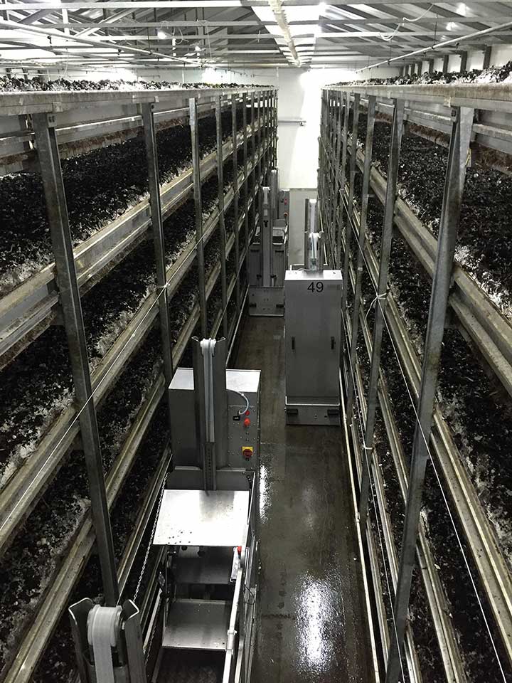 Cultivation racks and picking lorries for mushroom picking