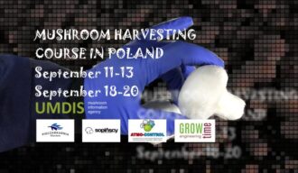 Mushroom Harvesting — exceptional training course for growers who want to increase yields and harvesting efficiency!
